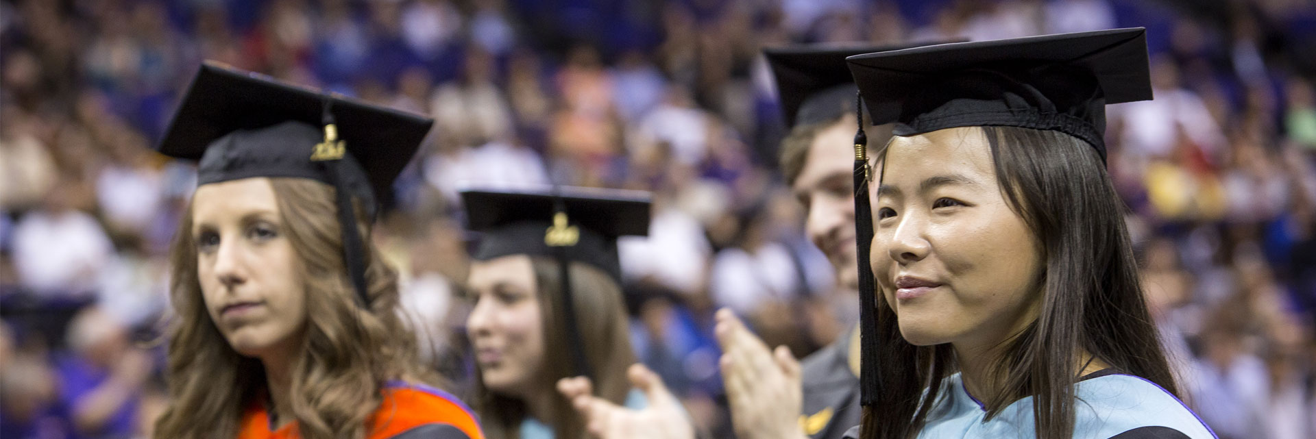 Undergraduate Programs Lsu Global Undergraduate Programs Lsu Global